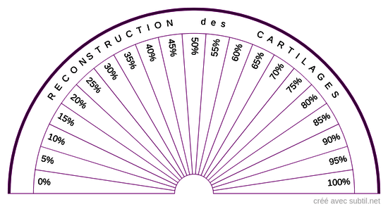 Reconstruction des cartilages 