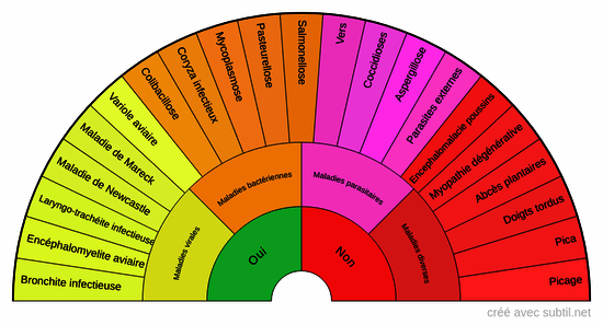 Maladies des poules