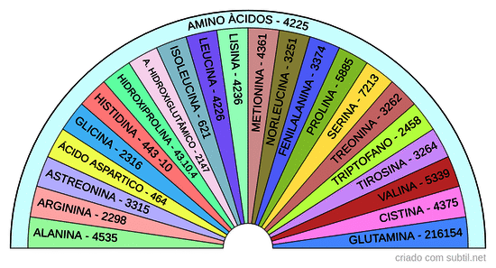 Amino àcidos