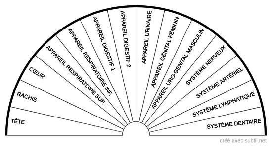 Organes