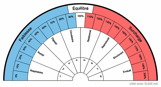 équilibre fonctionnel