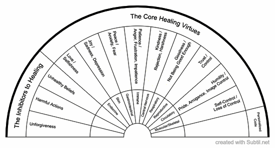 12 healing codes categories_v2