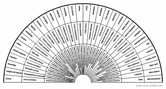 Piante ed erbe fitoterapiche 5