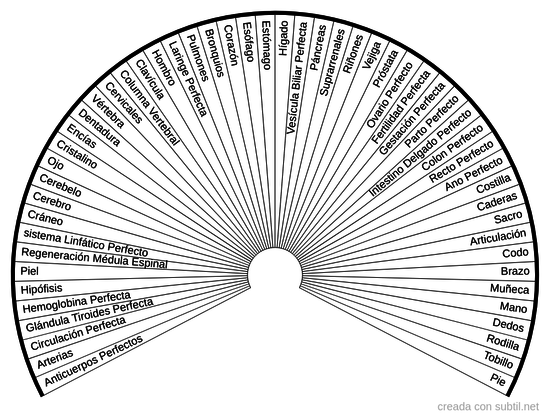 Anatomía 1