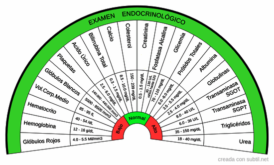 Endocrinológico - Perfil 20