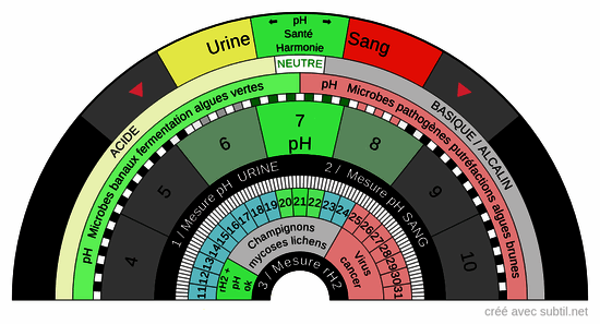 Ph urine et ph sang  et rh2 v2.0