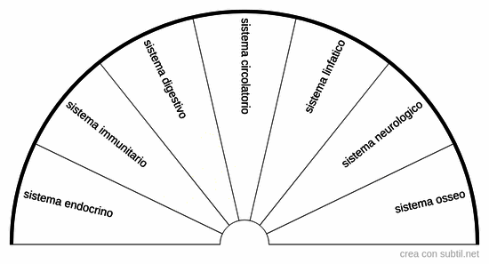 Sistemi corpo