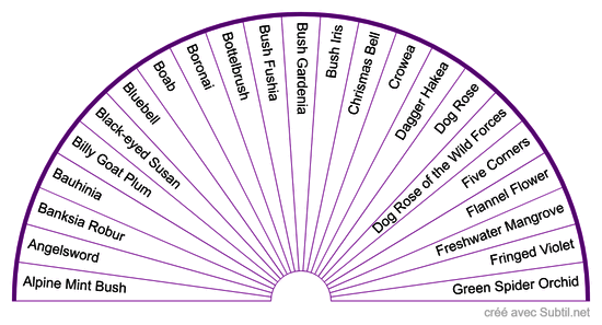Fleurs du Bush Australien de 1 à 23
