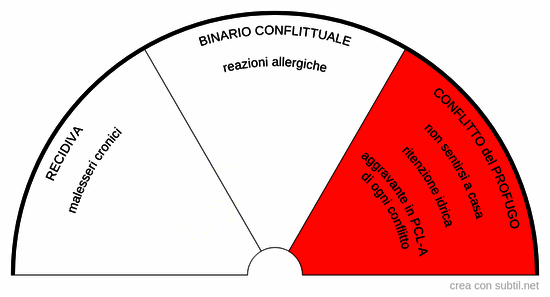 5lb - Recidive/binari conflittuali/confl. profugo