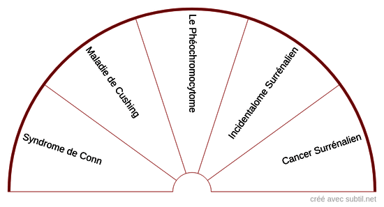 Maladies des glandes surrénales
