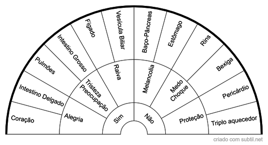 Os órgãos e as Emoções (MTC)