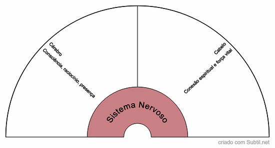 Sistema nervoso