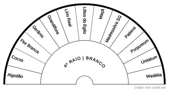 4º RAIO BRANCO