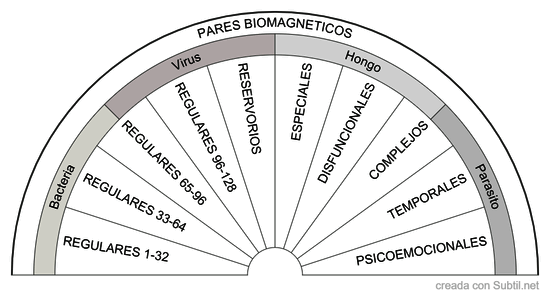 Pares biomagneticos 1