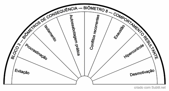Bloco 3 — biômetros de consequência — biômetro 8 — comportamento resultante