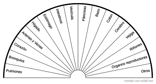 Órganos del cuerpo