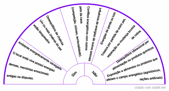 Causa energética desequilíbrio pet