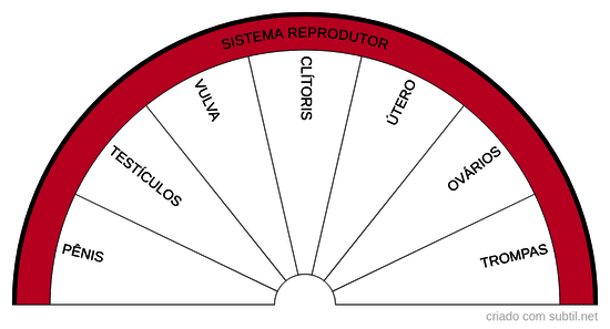 Sistema reprodutor