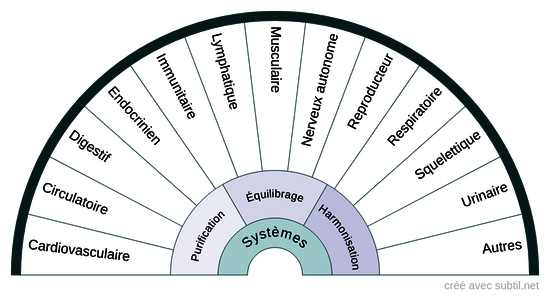 Systèmes corps physique