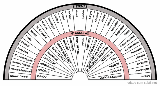 Sistemas e Glândulas do corpo