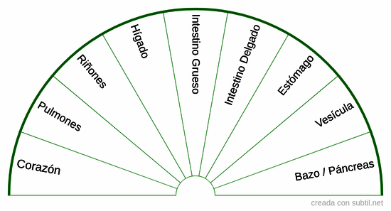 Sistema de Órganos