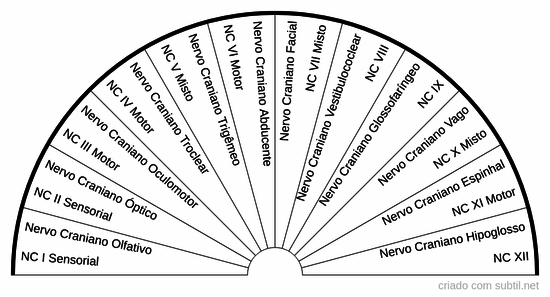 Nervos Cranianos