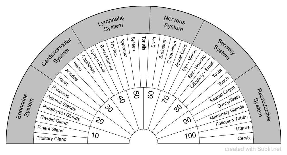 Systems of the body #2
