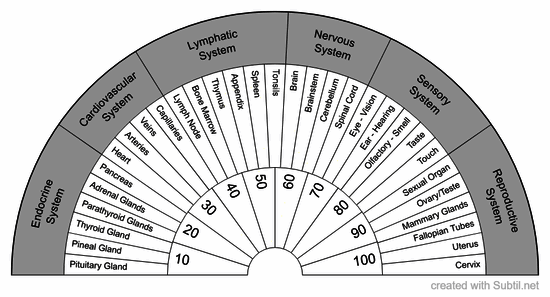 Systems of the body #2