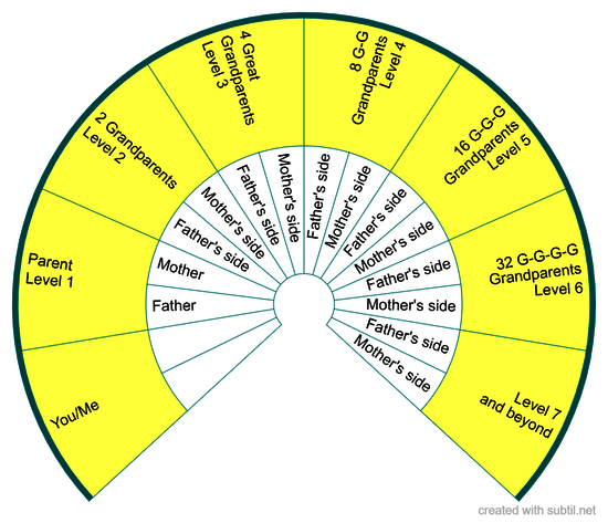 Ancestral chart