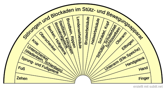 Körperliche Störungen und Blockaden Stütz- und Bewegungsapparat