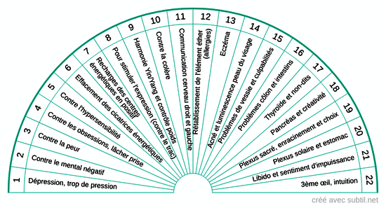 Circuits Psycho Bio Acupressure