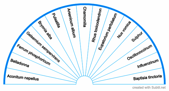 Homeopathy for fever