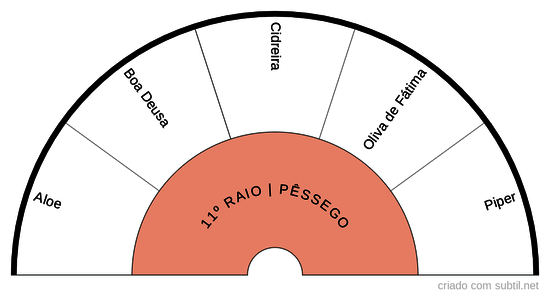 11º RAIO PÊSSEGO