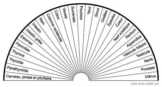 Réflexologie plantaire