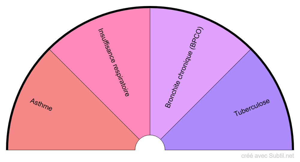 Maladies respiratoires