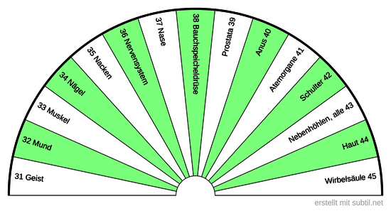 3  Sanjeevini  Körper  BPS  31 - 45