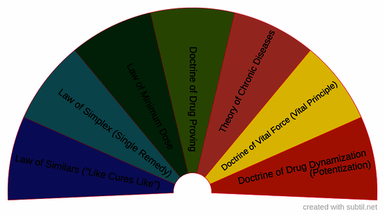 Cardinal principles of homeopathy