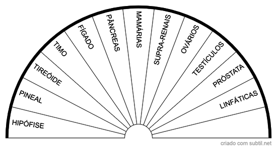 Glândulas