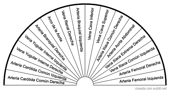 Sistema Circulatorio 