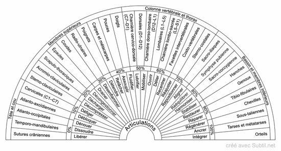 Articulations