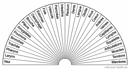 Organes 1/2