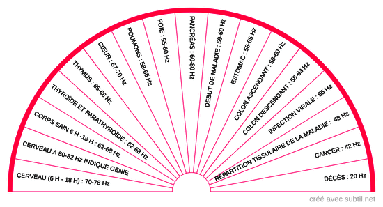 Fréquence du corps humain