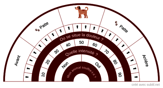 Douleur pour un animal 