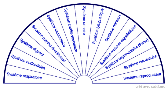 Systèmes corporels