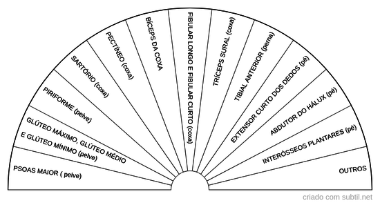 Músculos dos Membros Inferiores 