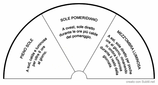 Posizione per piante