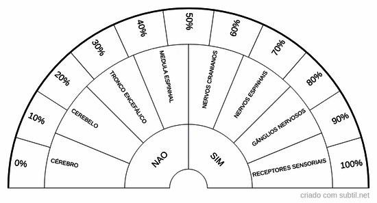 Orgãos do sistema nervoso