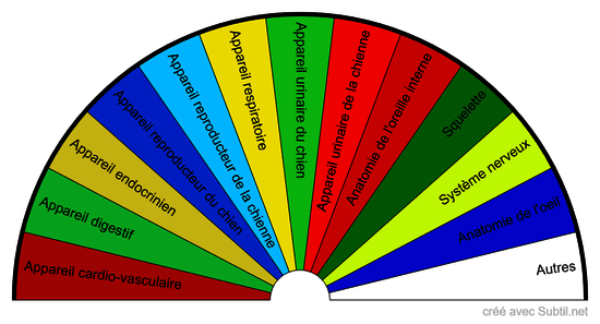 Anatomie du chien