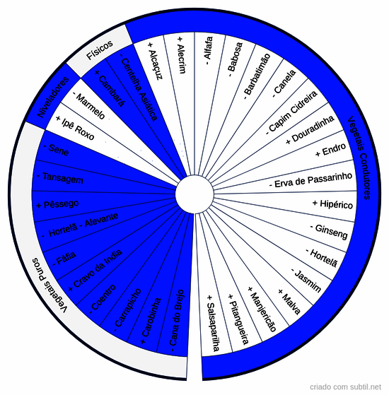 Vegetais chakra 6 = frontal