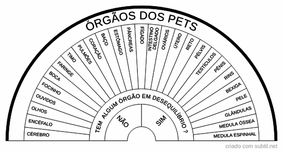 Órgãos do pets